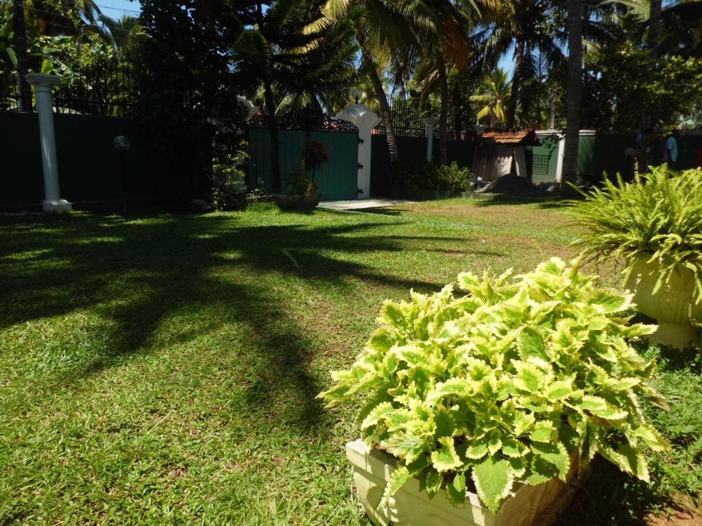 Villa W Bentota Exterior photo